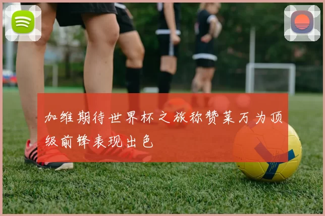 加维期待世界杯之旅称赞莱万为顶级前锋表现出色